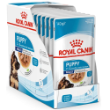 8017 - Box of Royal Canin Maxi