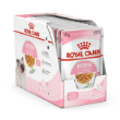 8033 - Royal Canin Kitten Jelly Box