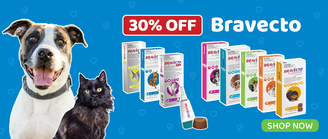 RSPCA Sale World for Pets