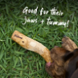 57425 - Kazoo Dental Chew