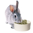 57428 - Bowl Melamine Small Animal