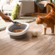 57986 - Elite Cat Litter 15kg